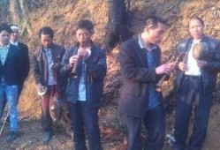 特区爱奴在线观看酷,在线观看，揭秘都市情感纠葛