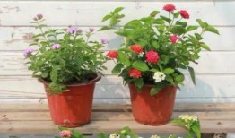 河源热点爆料最新消息视频