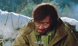 南部军电影在线观看,烽火岁月里的忠诚与抗争