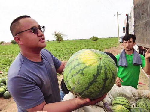 湖南娱乐吃瓜在一线,揭秘娱乐圈背后的故事
