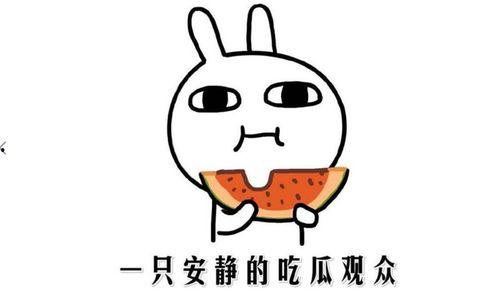 网络吃瓜是什么意思,揭秘虚拟世界中的围观文化